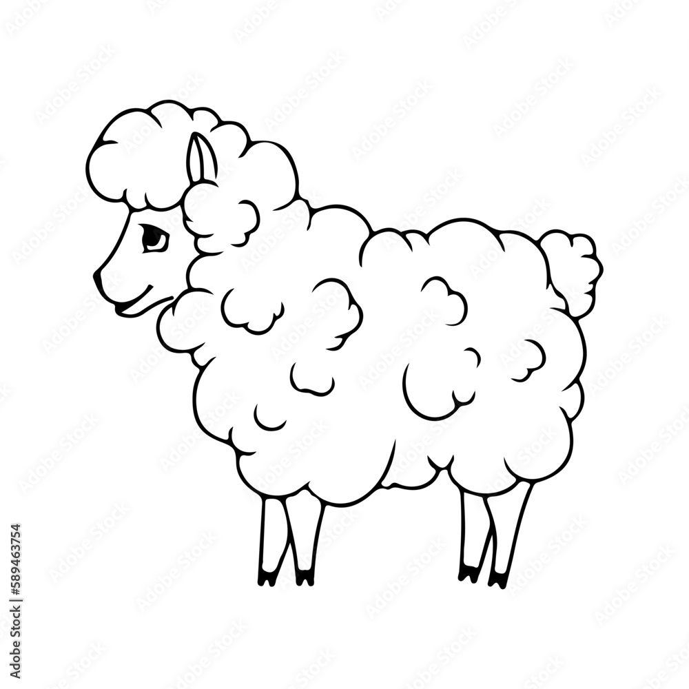 Fluffy sheep in cartoon style. Livestock, animal, Farming. Farm. Fur. Vector illustration isolated on white background. Coloring book Fluffy sheep in cartoon style. Livestock, animal, Farming. Farm. Fur. Vector illustration isolated on white background. Coloring book