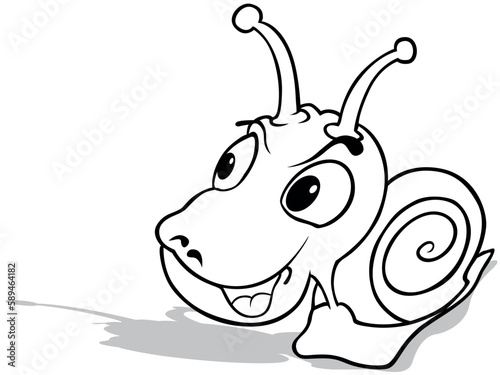 Drawing of a Smiling Snail