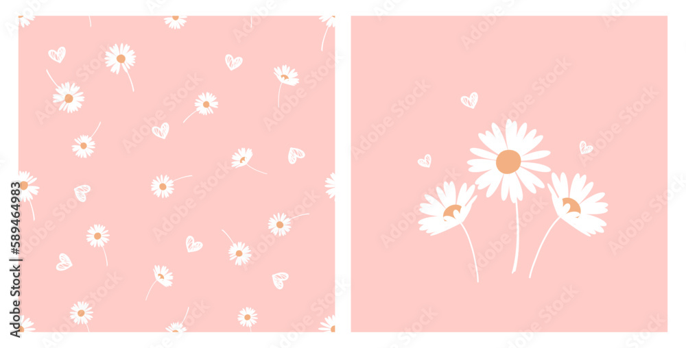Seamless pattern with daisy flower on pink background vector illustration. Seamless pattern with daisy flower on pink background vector illustration.