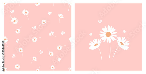 Seamless pattern with daisy flower on pink background vector illustration.