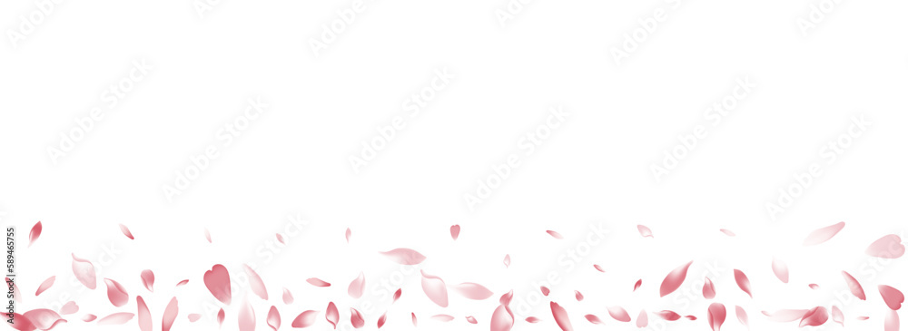 Color Peach Petal Vector Panoramic Background.