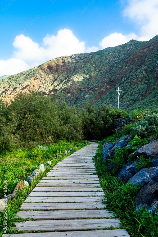 Fototapeta premium Paths found on the coasts of Tenerife in the Spanish Canary Islands