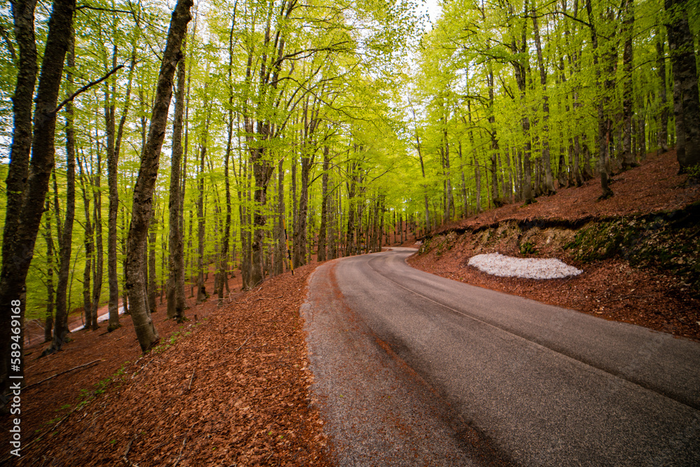 Quiet Road