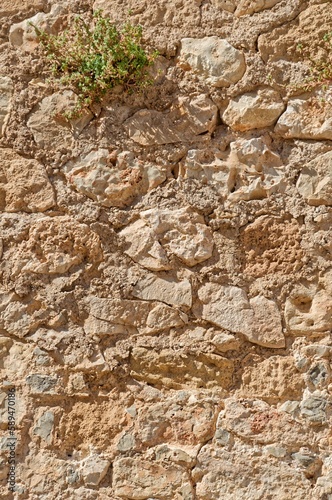 Stone wall texture background in Spain, Provinze of Valencia, City of Denia photo