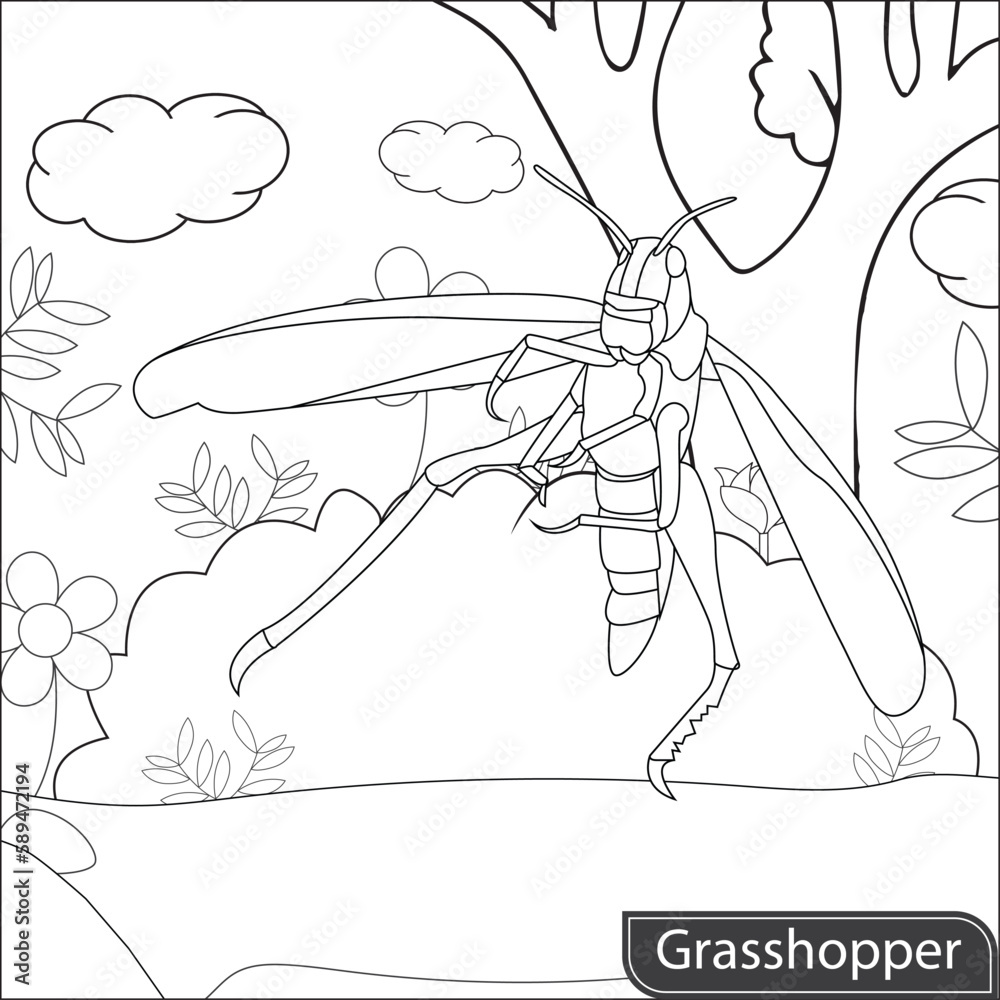 Grasshopper Coloring page for kids Stock Vector | Adobe Stock