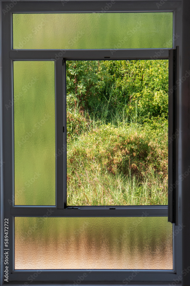 View over the open window on green hillside with shrubs View over the open window on green hillside with shrubs