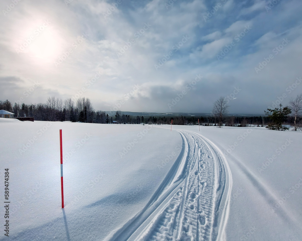 Ski trail in northern Sweden with red reflecting markers Ski trail in northern Sweden with red reflecting markers