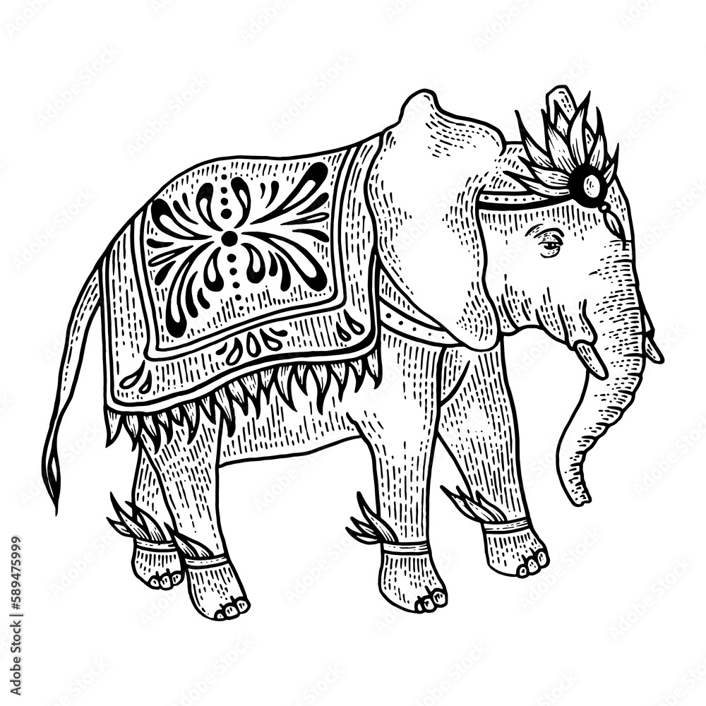 Naklejka premium Indian elephant sketch engraving PNG illustration with transparent background