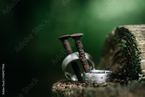 Closeup of wedding silver rings on mossy tree trunk against blurred background