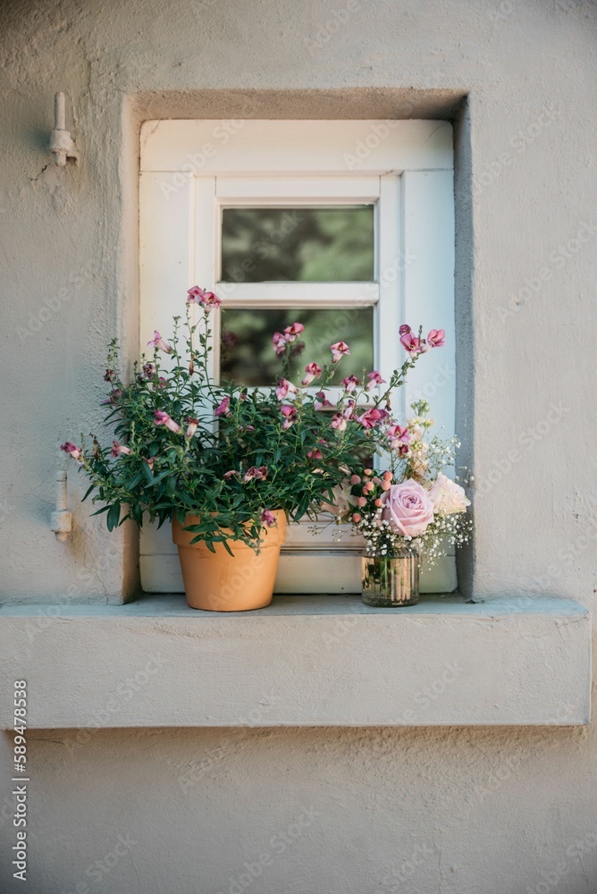 Naklejka premium Closeup of a bouquet on in a pot near window with stone frames