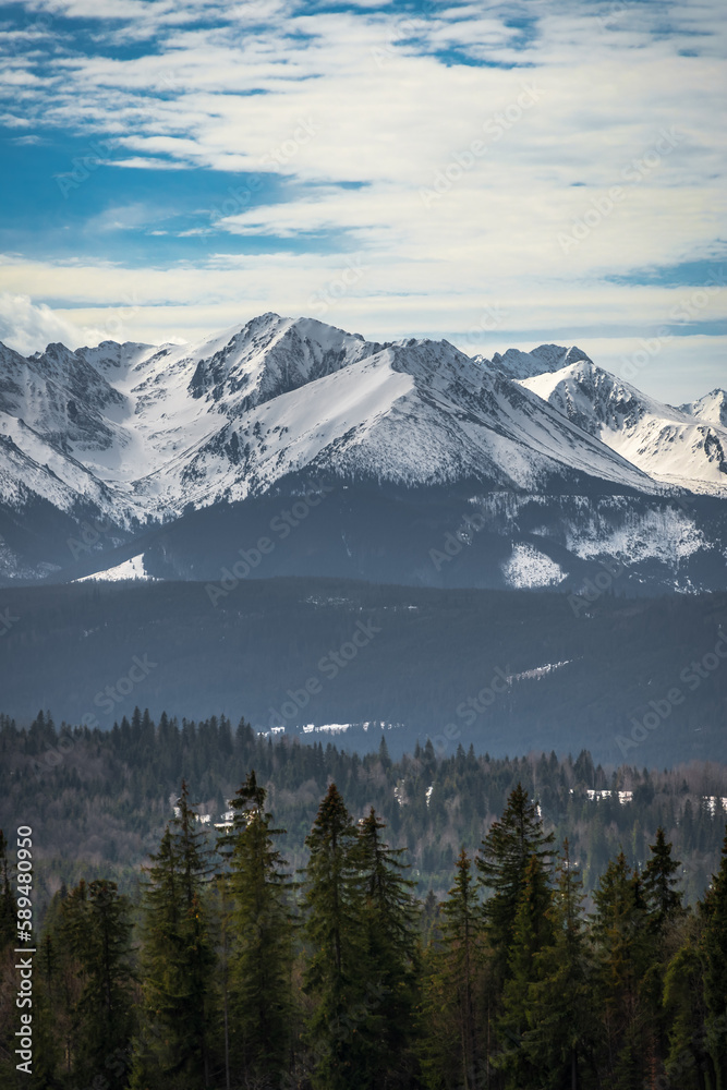A beautiful view of the High Tatras from the Łapszanka pass. Mountain landscape in the environment. Tatra Mountains, Poland