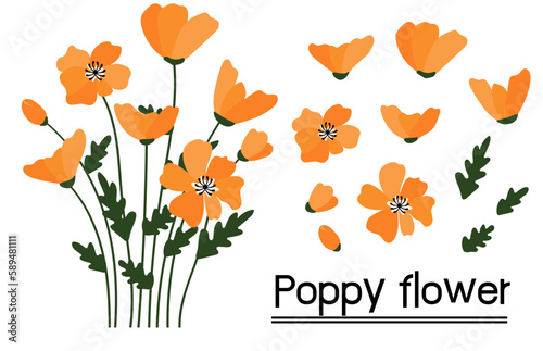 California poppy background.Eps 10 vector.