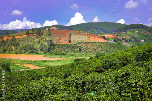 terracotta land and coffee plantations of Dalat to vietnam photo
