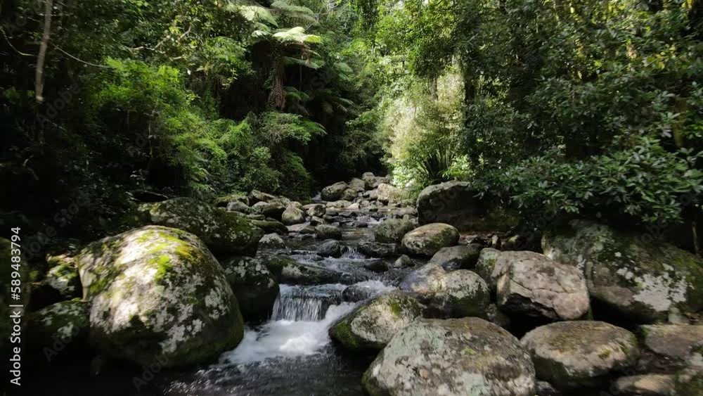 Tranquil rainforest creek system flowing deep into a lush tropical jungle backdrop. Slow moving drone Tranquil rainforest creek system flowing deep into a lush tropical jungle backdrop. Slow moving drone