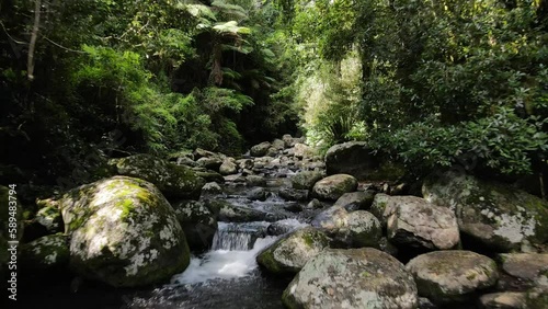 Tranquil rainforest creek system flowing deep into a lush tropical jungle backdrop. Slow moving drone