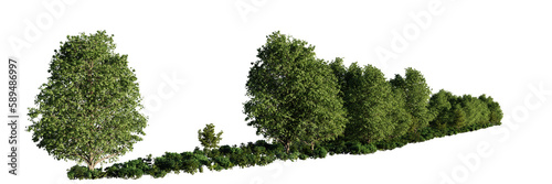 forest landscape with green trees and shrubs  isolated on transparent background 