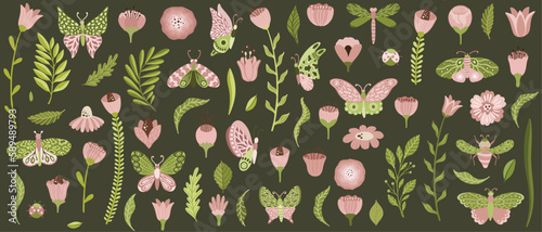 Floral collection with leaves, flower bouquets, butterflies. Vector flowers. ...
