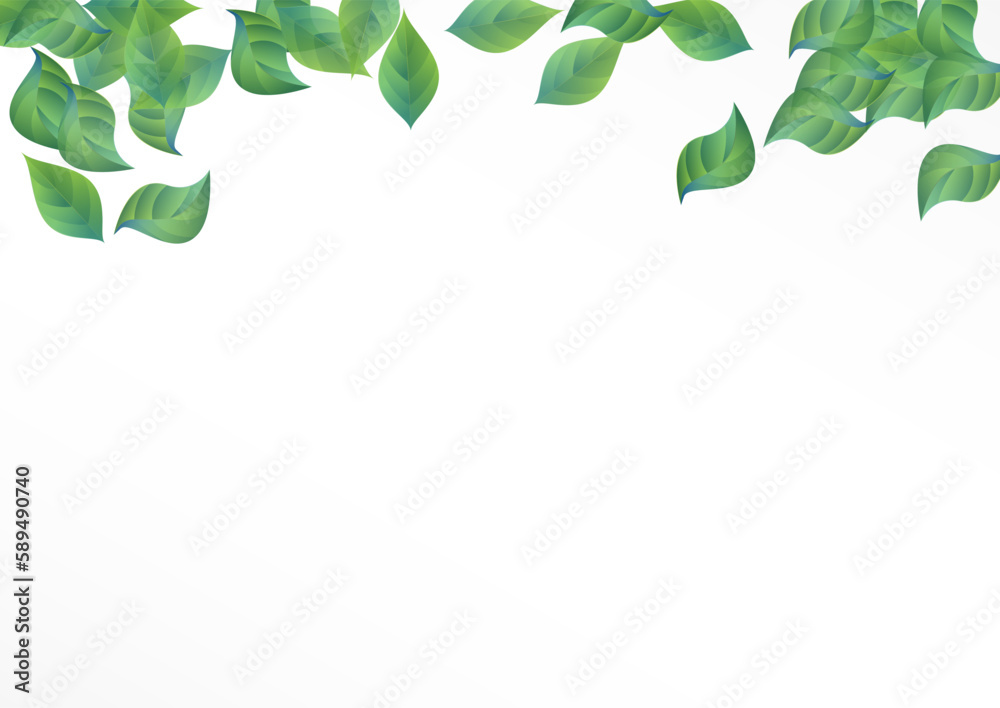 Olive Foliage Ecology Vector White Background