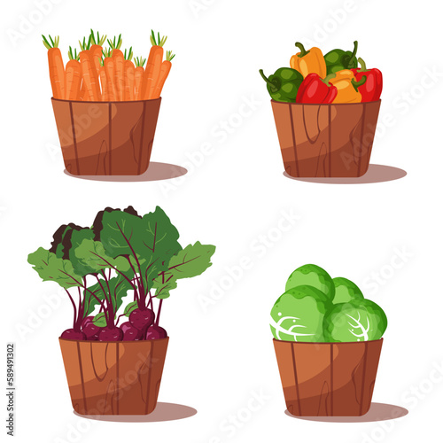 Set of vegetables in wooden boxes in color. Farm consept of healthy food in cartoon style on white background