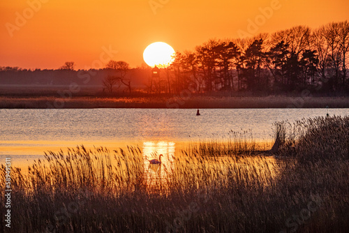 Sonnenuntergang am Bodden vor Zingst. photo