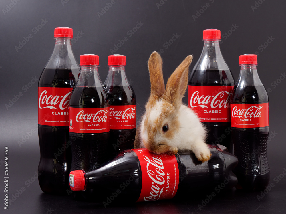 Gomel, BELARUS - April 6, 2023: Rabbit symbol of the year and Coca Cola ...