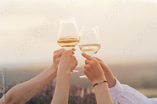 A group of friends clinking glasses of wine and spend time together at summer picnic.