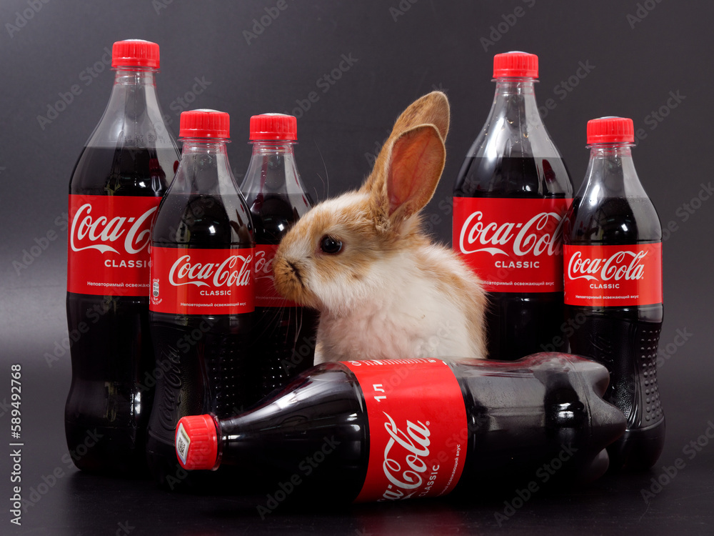 Gomel, BELARUS - April 6, 2023: Rabbit symbol of the year and Coca Cola ...