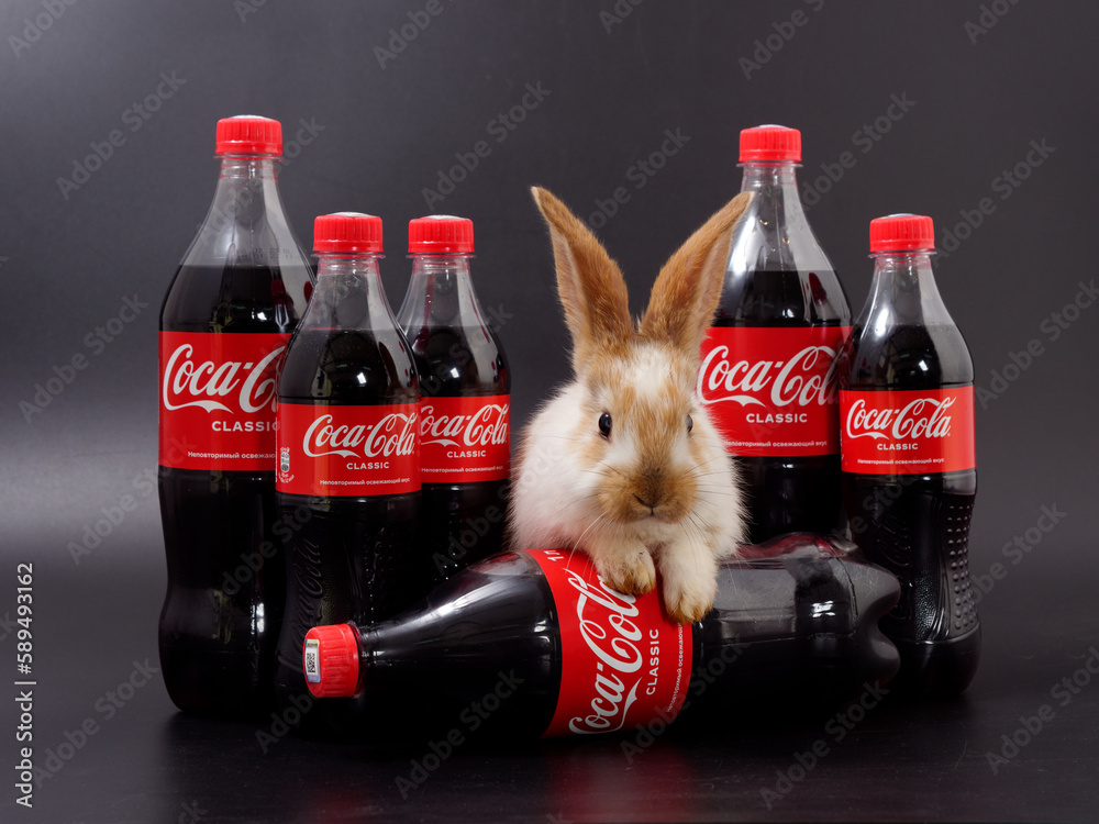 Gomel, BELARUS - April 6, 2023: Rabbit symbol of the year and Coca Cola ...