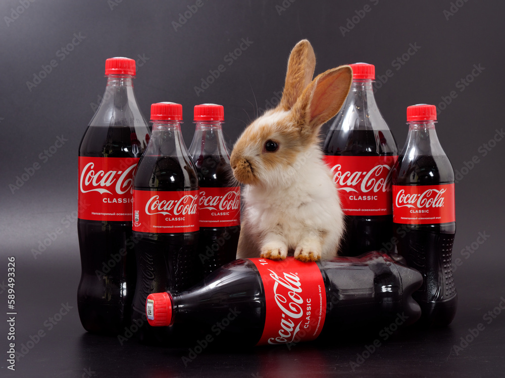 Gomel, BELARUS - April 6, 2023: Rabbit symbol of the year and Coca Cola ...
