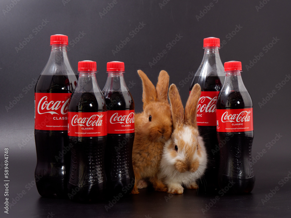 Gomel, BELARUS - April 6, 2023: Rabbit symbol of the year and Coca Cola ...