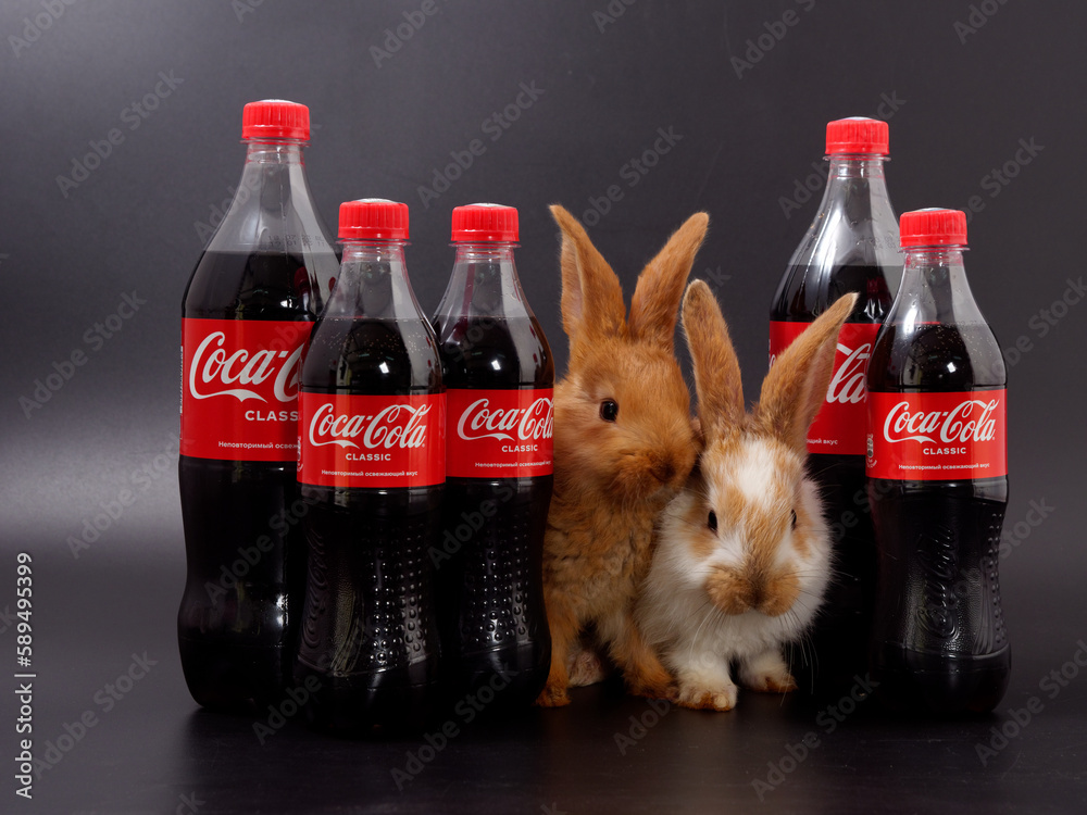 Gomel, BELARUS - April 6, 2023: Rabbit symbol of the year and Coca Cola ...