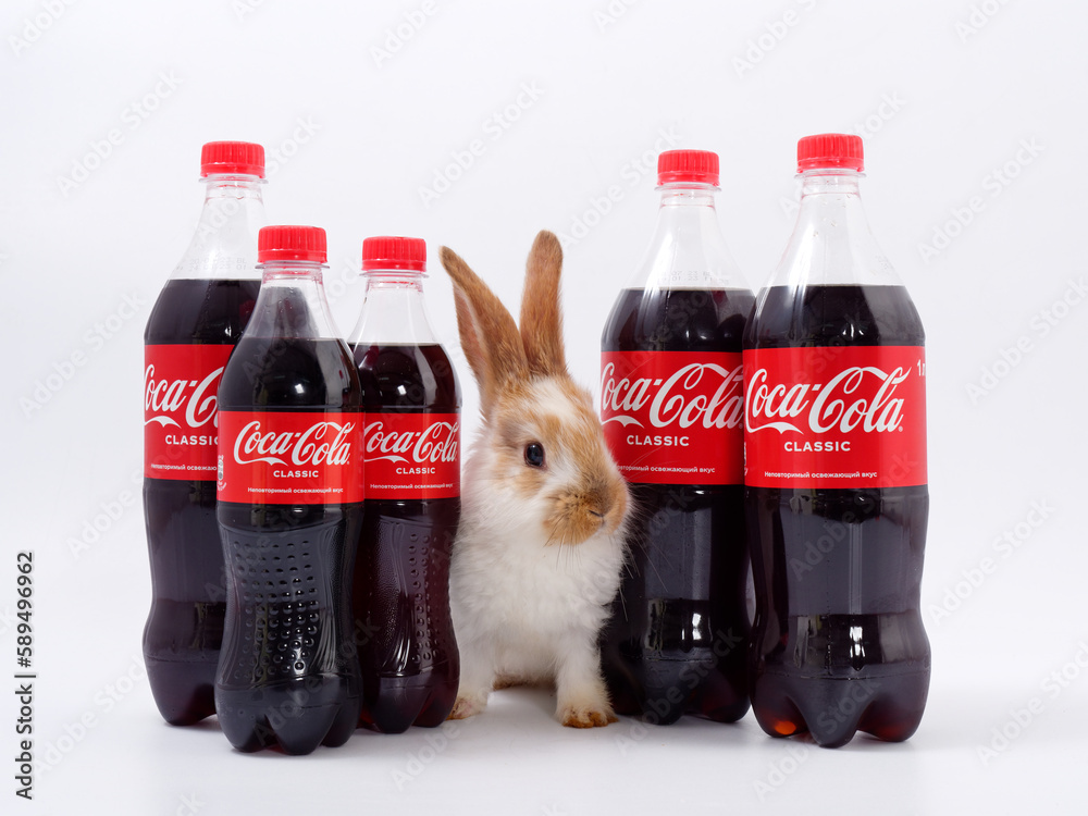 Gomel, BELARUS - April 6, 2023: Rabbit symbol of the year and Coca Cola ...