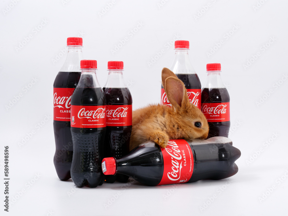 Gomel, BELARUS - April 6, 2023: Rabbit symbol of the year and Coca Cola ...