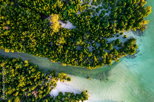 Aerial view of lush mangrove forest in the tropical lagoon, Pingwe, Chwaka Bay, Zanzibar, Tanzania photo