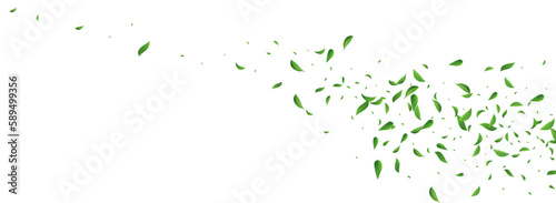 Swamp Foliage Ecology Vector Panoramic White