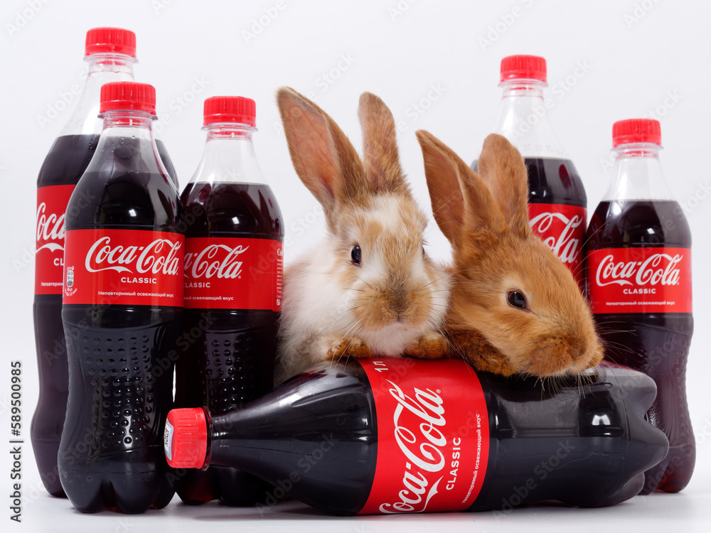 Gomel, BELARUS - April 6, 2023: Rabbit symbol of the year and Coca Cola ...