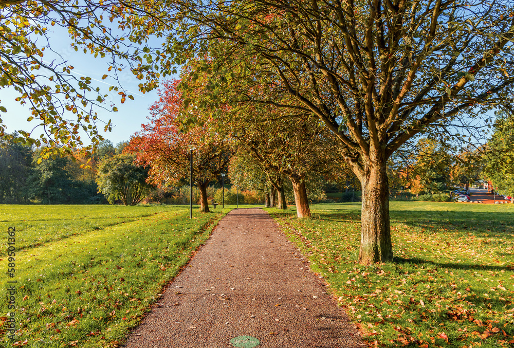 Beautiful autumn landscape. Path in the park with autumn trees on a sunny day. Place for rest.
