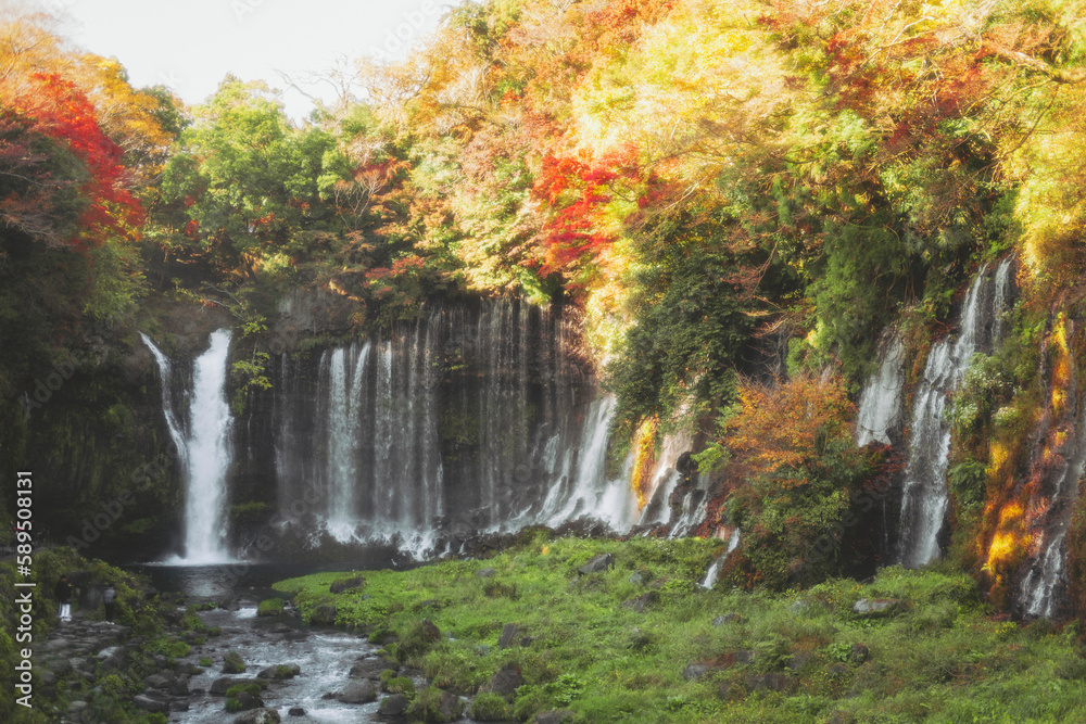 View of the Shiraito Waterfalls during koyo season, Shizuoka, Japan. View of the Shiraito Waterfalls during koyo season, Shizuoka, Japan.