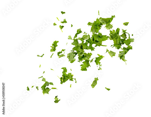 Chopped cilantro leaves as green seasoning flying, falling isolated on white, transparent background, PNG photo
