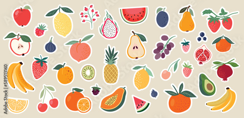 Stickers big collection with fruits, vector illustration, decorative design