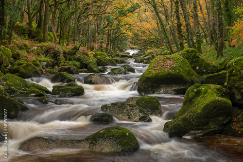 River Plym rushing over boulders in Dewerstone Wood, in autumn, Dartmoor, Devon photo