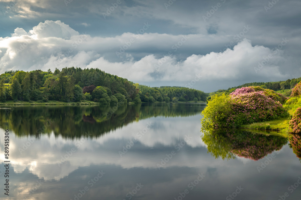 © robertharding - Reflections on a calm summer evening at Kennick Reservoir, Dartmoor National Park, Devon © robertharding - Reflections on a calm summer evening at Kennick Reservoir, Dartmoor National Park, Devon
