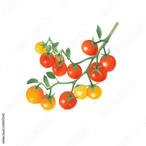 tomatoes isolated on white