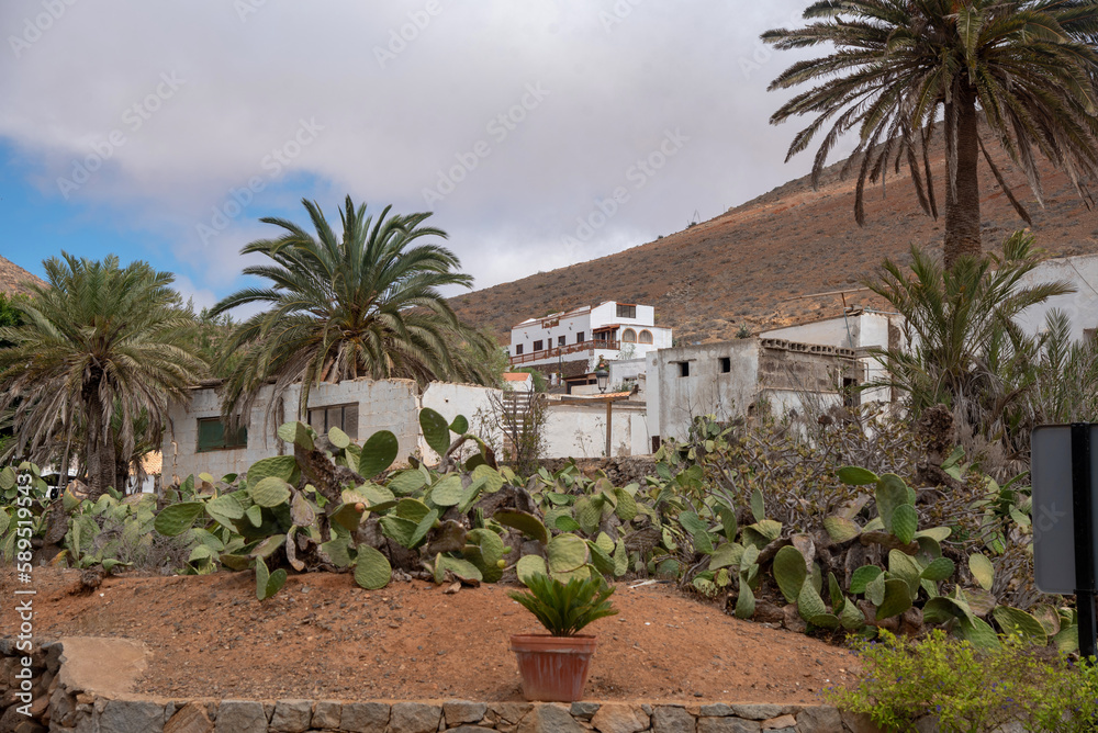 Esquina del pueblo Betancuria en Fuerteventura, muchos cactus en primer plano y luego pequeñas casas blancas rodeadas de palmeras en las Islas Canarias.