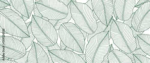 Tropical leaf wallpaper, luxury botanical nature leaf design, vector background with green banana leaf lines. Hand drawn, suitable for fabric design, print, cover, banner and invitations.