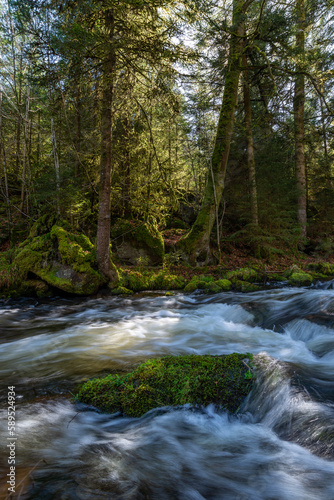 River in the forest © Alex Marc Wagner