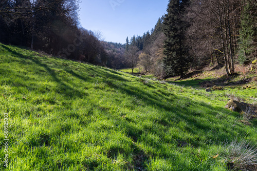 Footpath in the woods along a beautiful green meadow on a spring morning