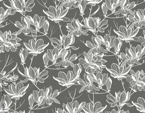 seamless lace pattern, vector illustration, magnolia flowers © Дарья Березина