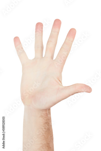 Numbers, showing and hand of a person for communication. High five, sign language and palm of a man for a warning, conversation and hello on a backdrop isolated on a png background
