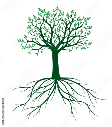 Shape of Green Tree with Leaves. Vector outline Illustration. Plant in Garden.